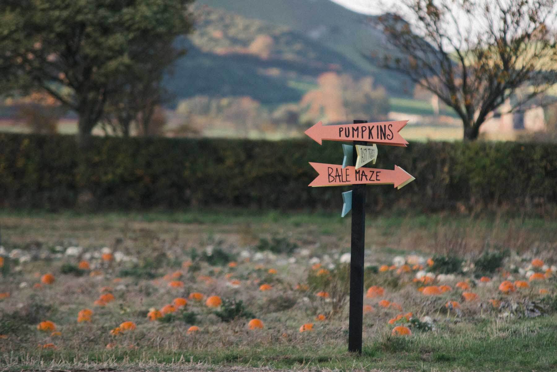 Kilduff Pumpkin Patch Signpost